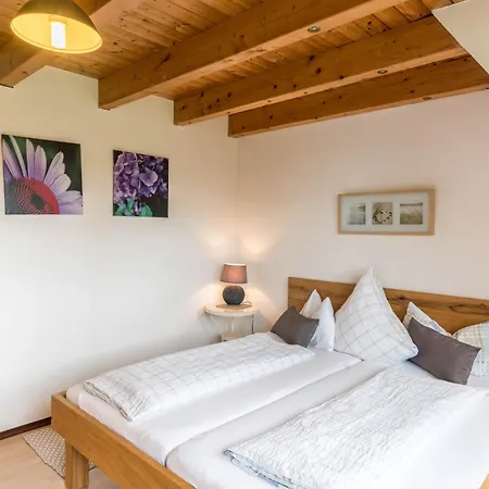 Boehler 2 Apartmán Reichenau